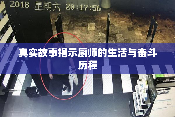 真实故事揭示厨师的生活与奋斗历程