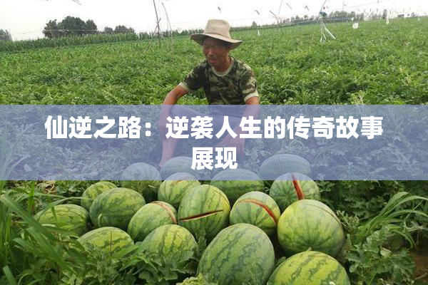 仙逆之路：逆袭人生的传奇故事展现