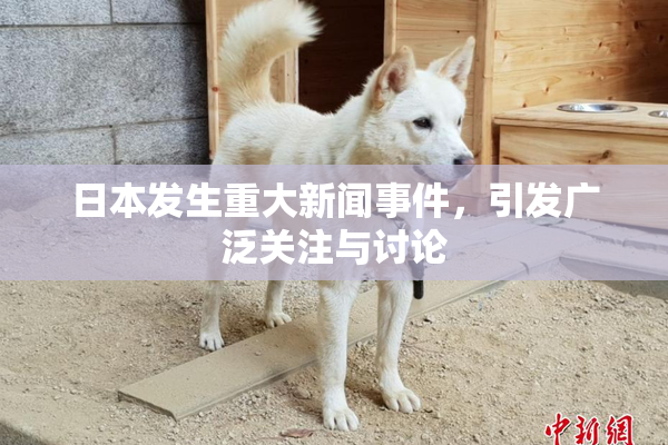 日本发生重大新闻事件，引发广泛关注与讨论