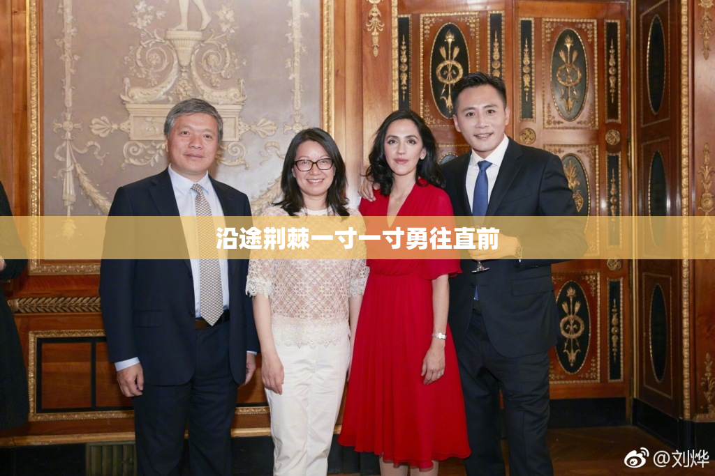 沿途荆棘一寸一寸勇往直前
