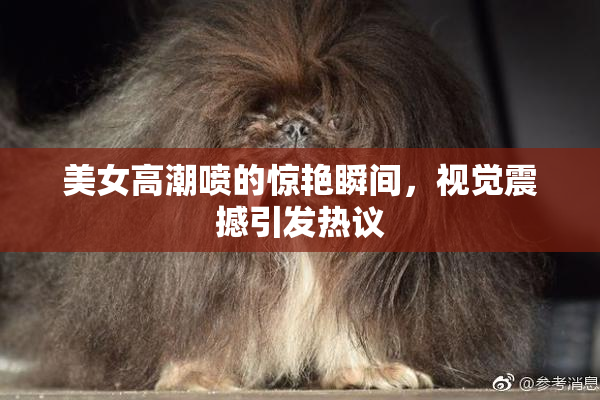美女高潮喷的惊艳瞬间，视觉震撼引发热议