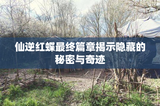 仙逆红蝶最终篇章揭示隐藏的秘密与奇迹