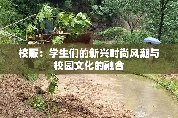 校服：学生们的新兴时尚风潮与校园文化的融合