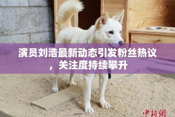 演员刘浩最新动态引发粉丝热议，关注度持续攀升