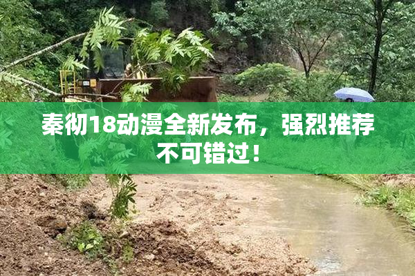 秦彻18动漫全新发布，强烈推荐不可错过！