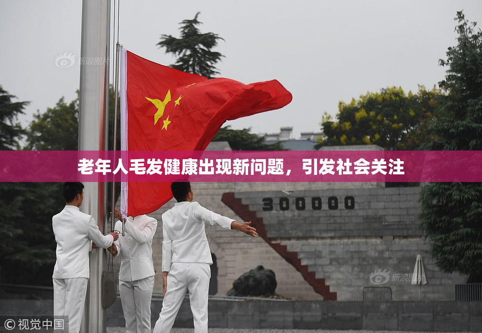 老年人毛发健康出现新问题，引发社会关注