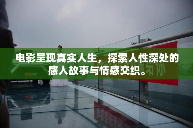 电影呈现真实人生，探索人性深处的感人故事与情感交织。