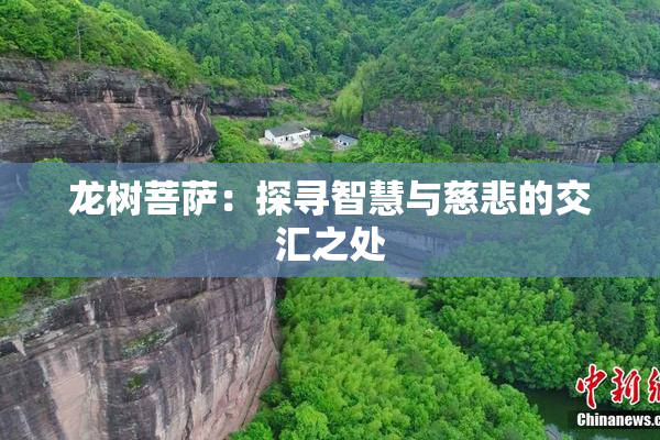 龙树菩萨：探寻智慧与慈悲的交汇之处