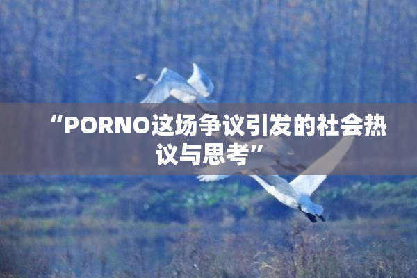 “PORNO这场争议引发的社会热议与思考”