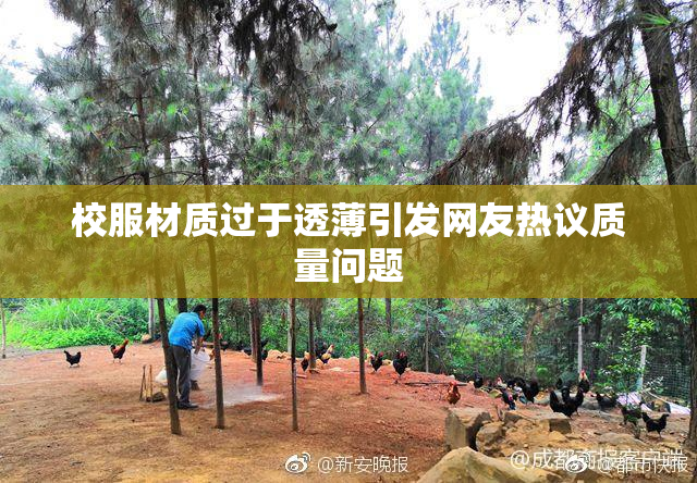 校服材质过于透薄引发网友热议质量问题