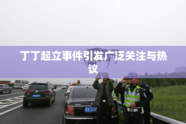 丁丁起立事件引发广泛关注与热议