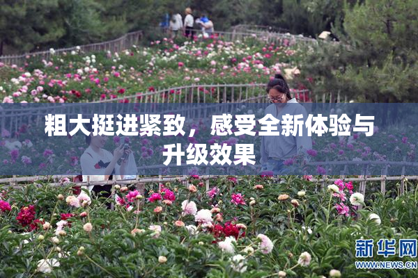 粗大挺进紧致，感受全新体验与升级效果