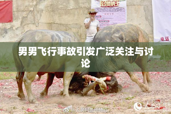男男飞行事故引发广泛关注与讨论