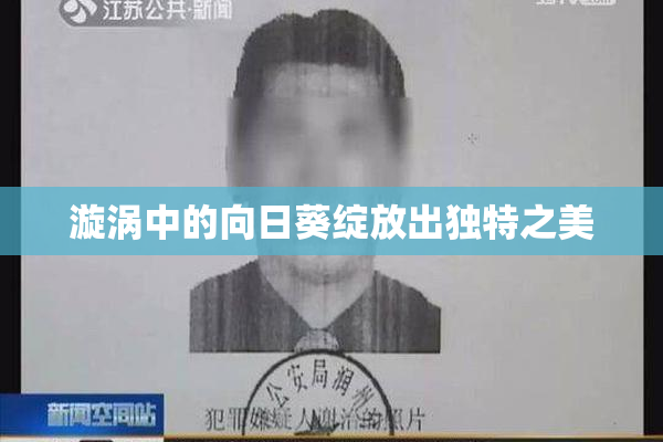 漩涡中的向日葵绽放出独特之美