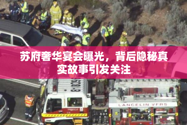 苏府奢华宴会曝光，背后隐秘真实故事引发关注
