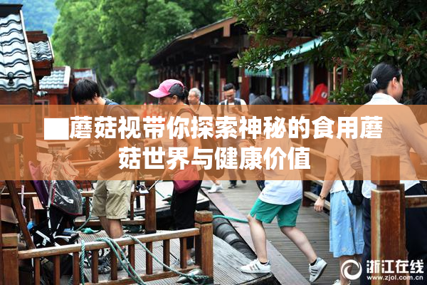 ▇蘑菇视带你探索神秘的食用蘑菇世界与健康价值