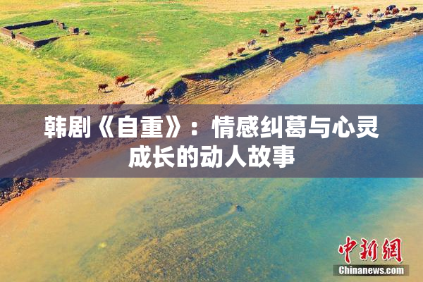 韩剧《自重》：情感纠葛与心灵成长的动人故事