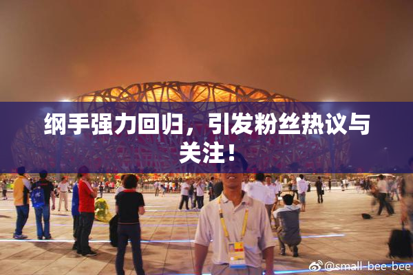 纲手强力回归，引发粉丝热议与关注！