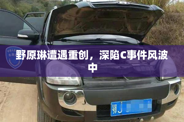 野原琳遭遇重创，深陷C事件风波中