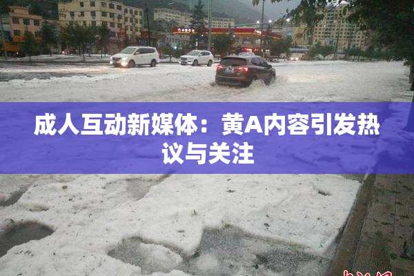 成人互动新媒体：黄A内容引发热议与关注
