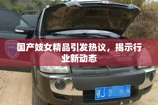 国产妓女精品引发热议，揭示行业新动态