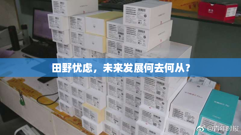 田野忧虑，未来发展何去何从？