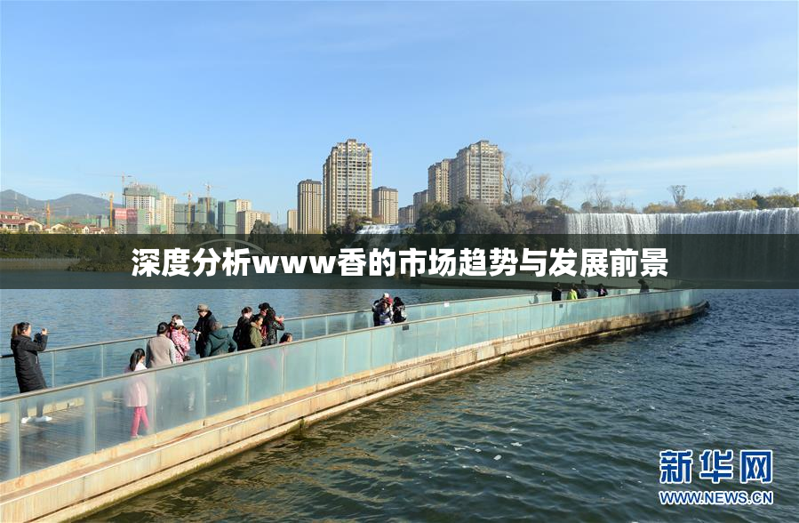 深度分析www香的市场趋势与发展前景