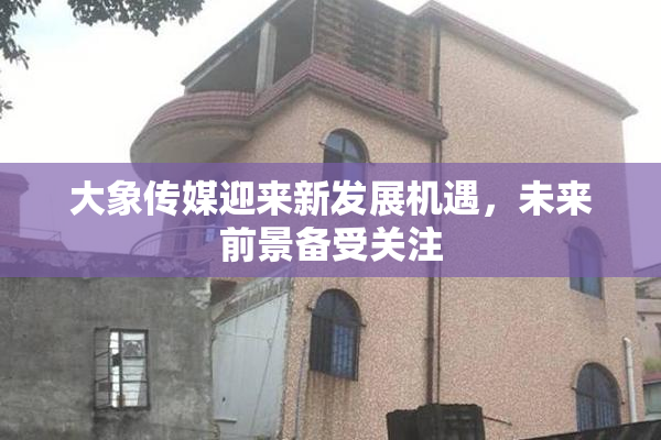 大象传媒迎来新发展机遇，未来前景备受关注