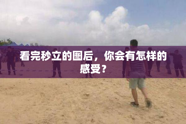 看完秒立的图后，你会有怎样的感受？