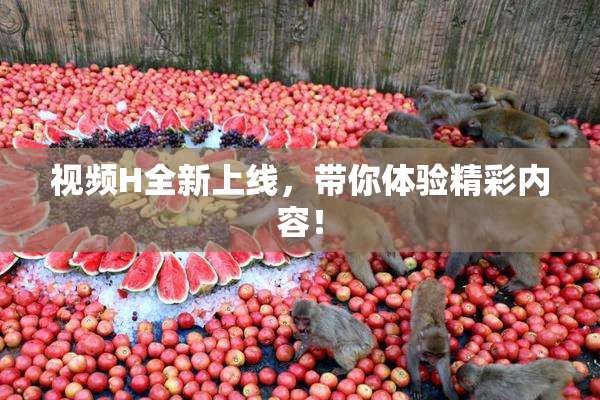 视频H全新上线，带你体验精彩内容！