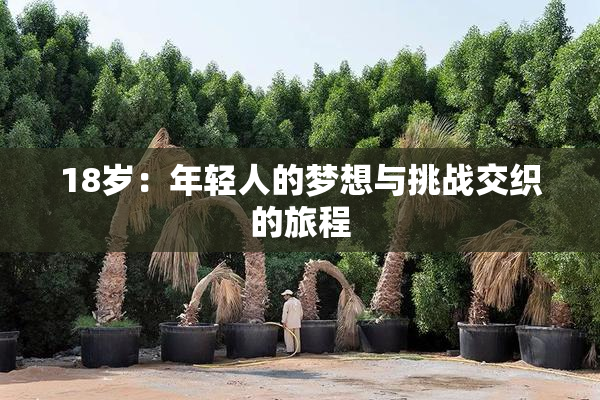 18岁：年轻人的梦想与挑战交织的旅程