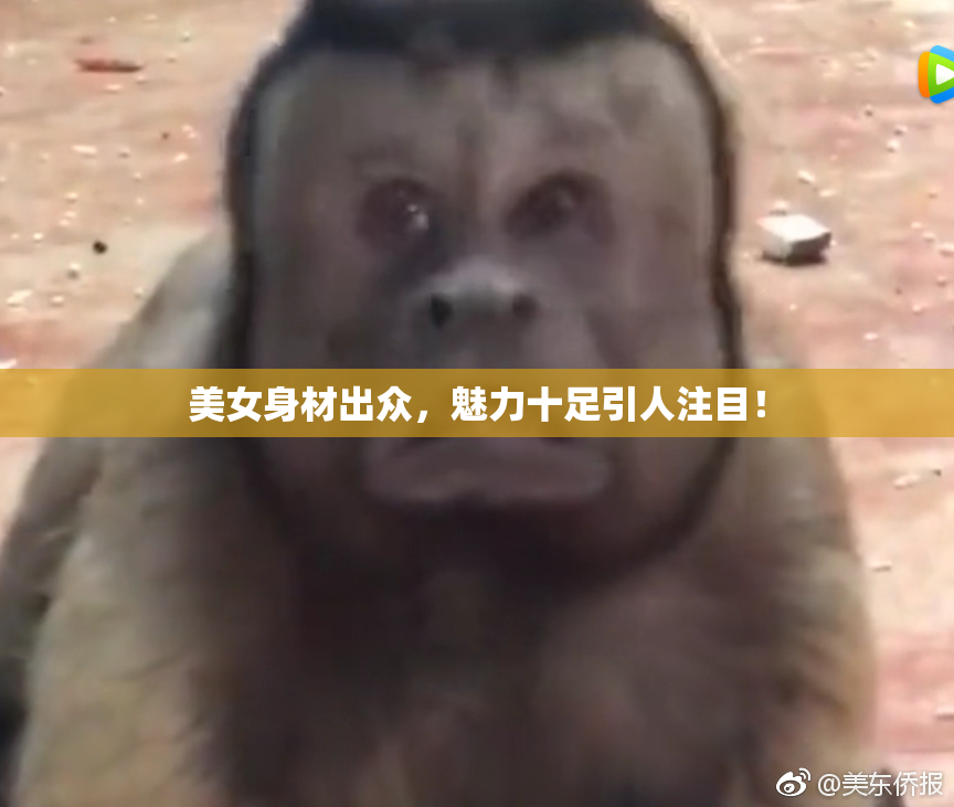美女身材出众，魅力十足引人注目！
