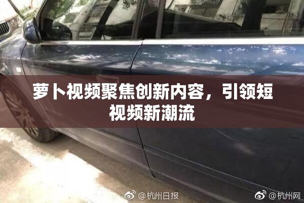 萝卜视频聚焦创新内容，引领短视频新潮流