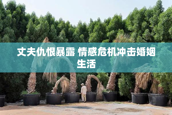 丈夫仇恨暴露 情感危机冲击婚姻生活