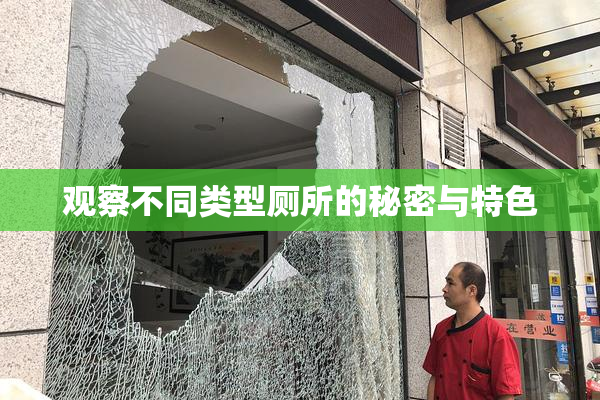 观察不同类型厕所的秘密与特色