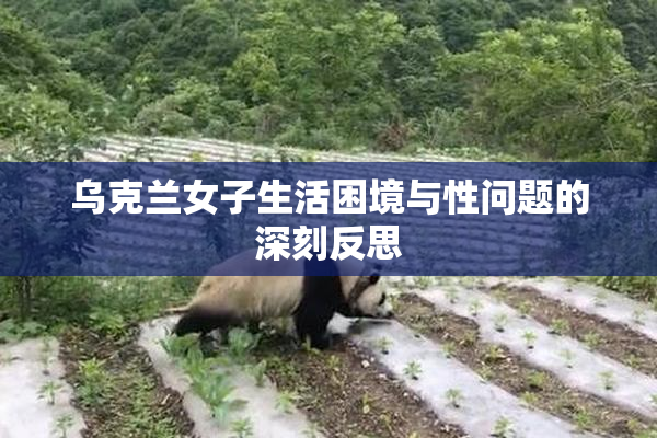 乌克兰女子生活困境与性问题的深刻反思