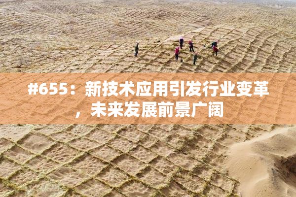 #655：新技术应用引发行业变革，未来发展前景广阔
