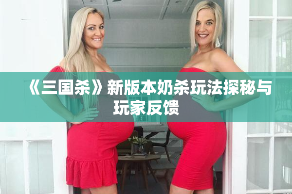 《三国杀》新版本奶杀玩法探秘与玩家反馈