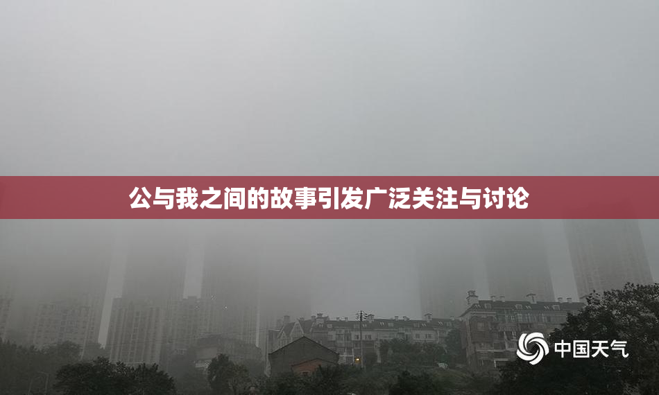 公与我之间的故事引发广泛关注与讨论