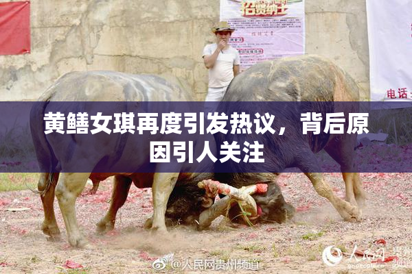 黄鳝女琪再度引发热议，背后原因引人关注