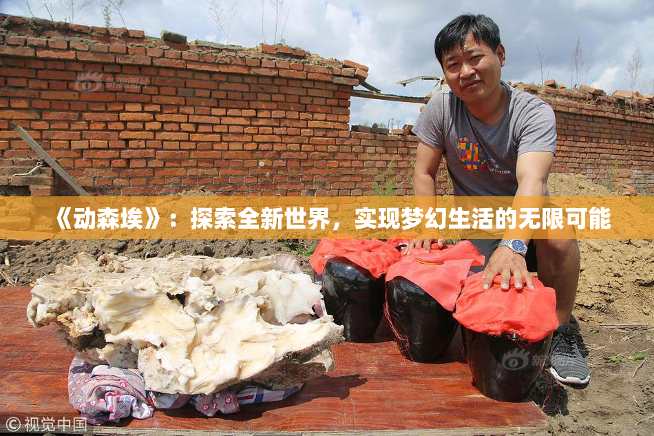 《动森埃》：探索全新世界，实现梦幻生活的无限可能