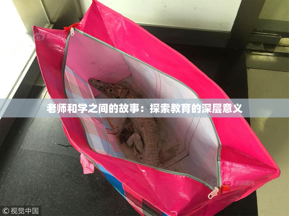 老师和学之间的故事：探索教育的深层意义