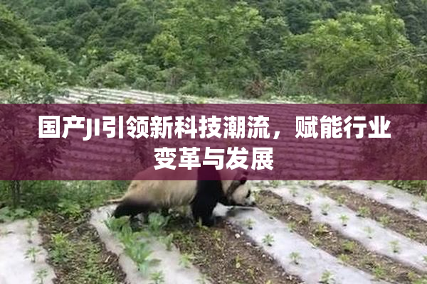 国产JI引领新科技潮流，赋能行业变革与发展