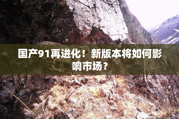国产91再进化！新版本将如何影响市场？