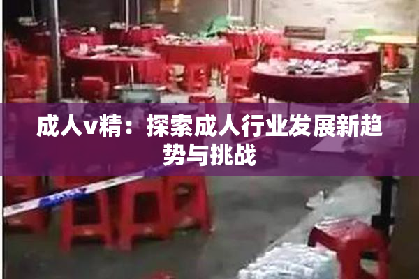成人v精：探索成人行业发展新趋势与挑战