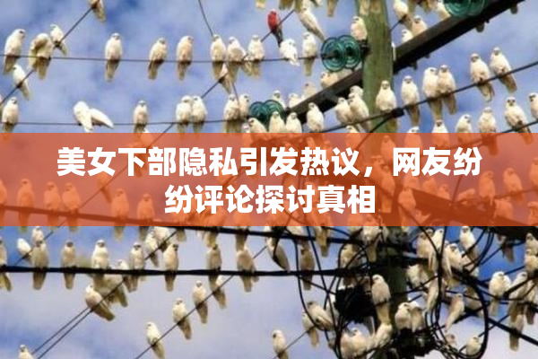 美女下部隐私引发热议，网友纷纷评论探讨真相