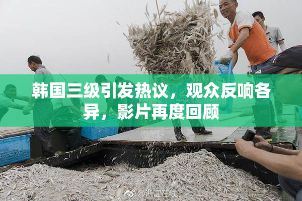 韩国三级引发热议，观众反响各异，影片再度回顾