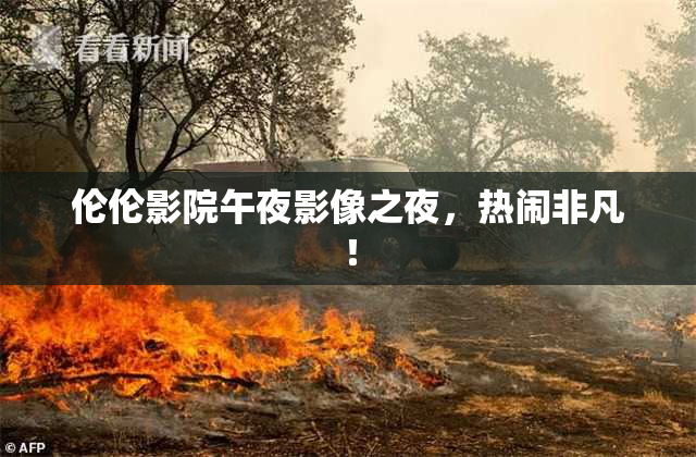 伦伦影院午夜影像之夜，热闹非凡！