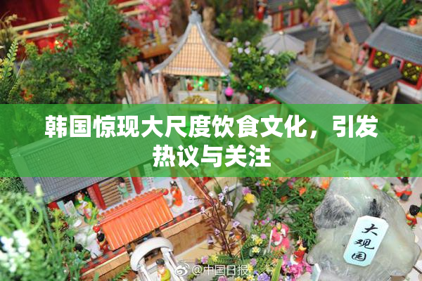 韩国惊现大尺度饮食文化，引发热议与关注