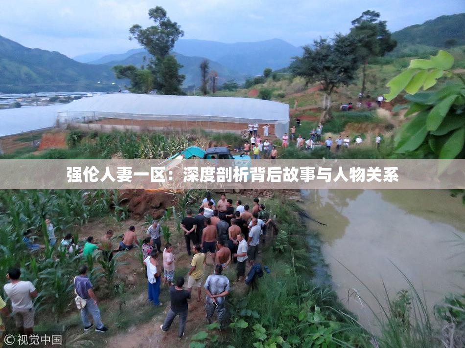 强伦人妻一区：深度剖析背后故事与人物关系